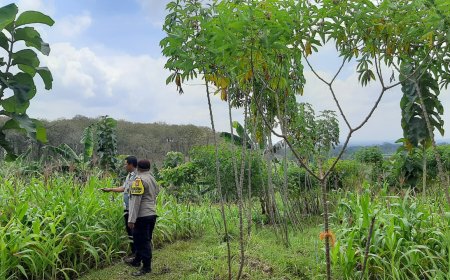 Polres Malang Pantau Pemanfaatan Lahan Warga untuk Dukung Ketahanan Pangan
