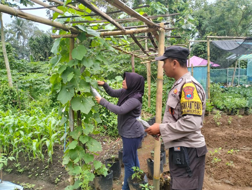 Polres Malang Perkuat Ketahanan Pangan Berbasis Masyarakat Desa